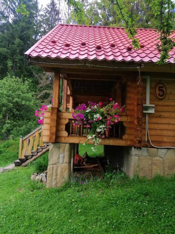 Микулин Хутірець Mykulychyn Extérieur photo